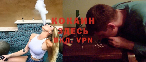apvp Алексин