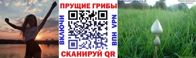 Галлюциногенные грибы Magic Shrooms  купить  цена  ссылка на мегу как войти  Углич 