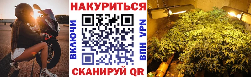 Бошки марихуана гибрид Углич